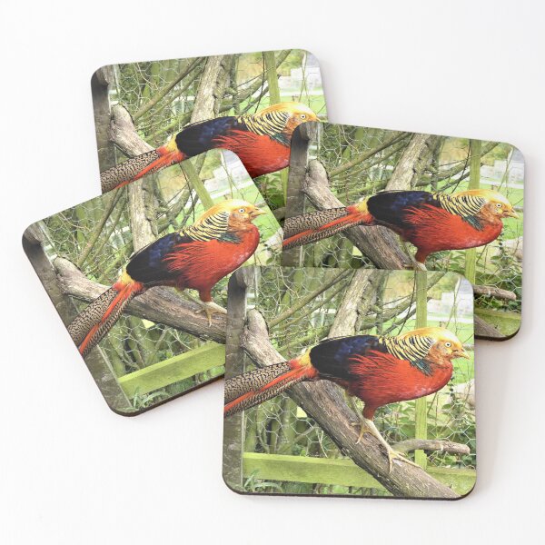 Item preview, Golden Pheasant designed and sold by Fearless-Fox.