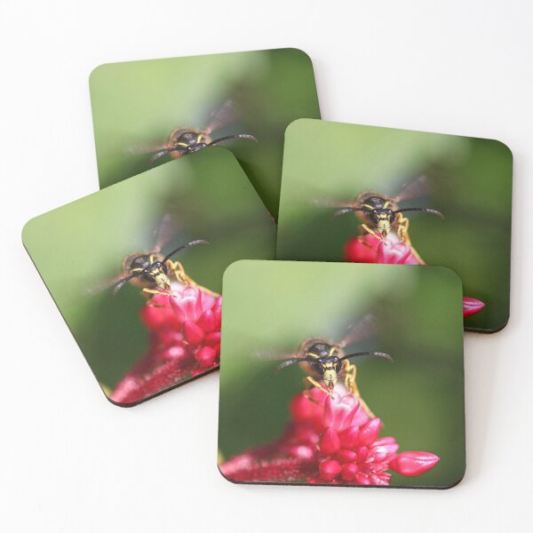 Item preview, Wasp take off designed and sold by GreyFeatherPhot.
