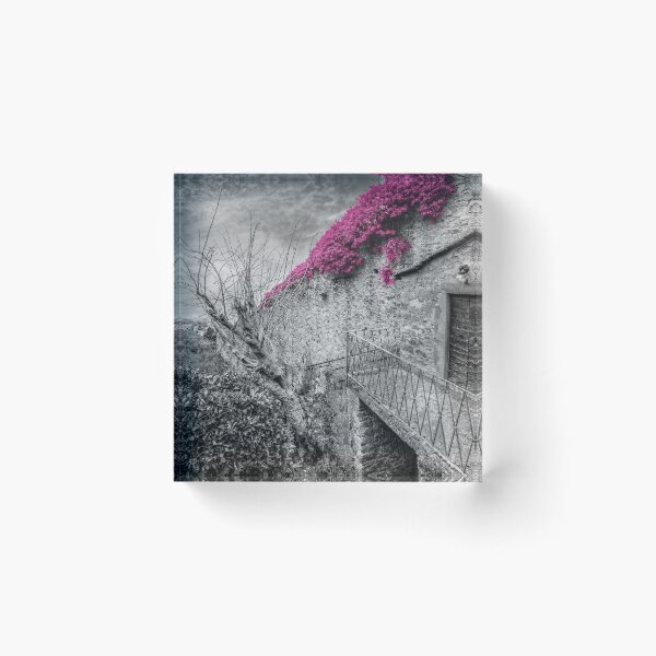 Item preview, The wall at La Montanina gate designed and sold by SpikeFlutie.