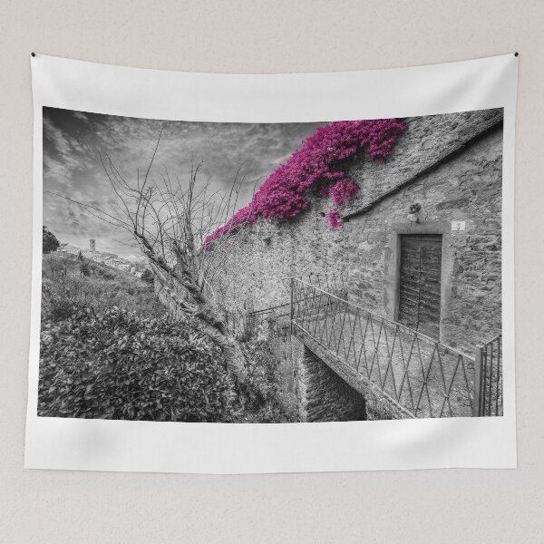 Item preview, The wall at La Montanina gate designed and sold by SpikeFlutie.