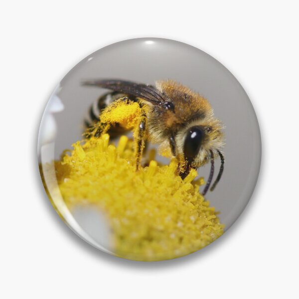 Item preview, Plasterer bee designed and sold by GreyFeatherPhot.
