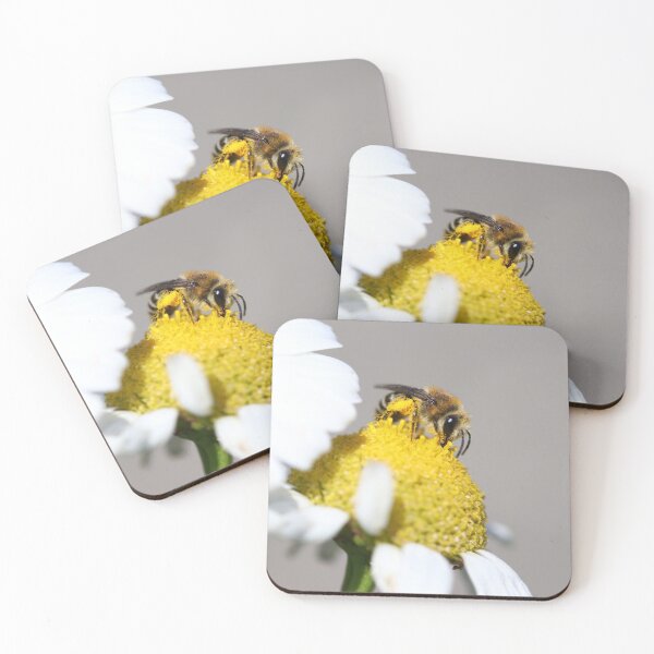 Item preview, Plasterer bee designed and sold by GreyFeatherPhot.