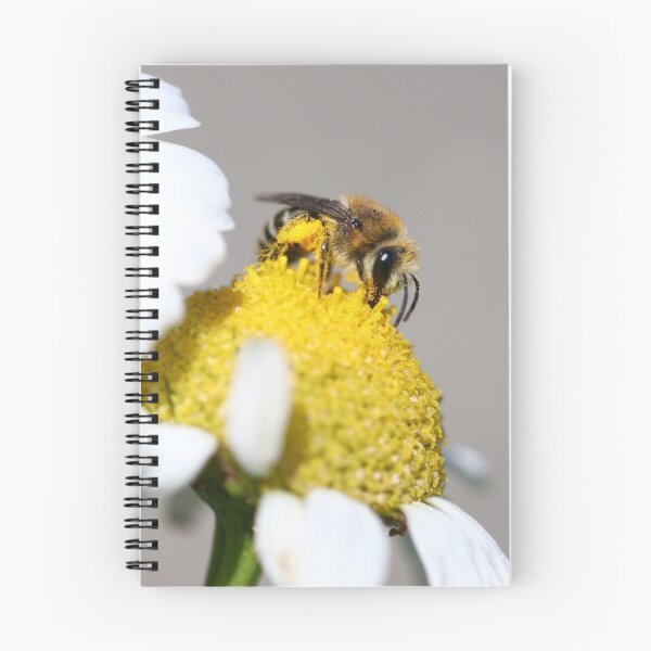 Item preview, Plasterer bee designed and sold by GreyFeatherPhot.