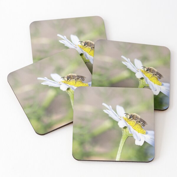 Item preview, Solitary bee  designed and sold by GreyFeatherPhot.
