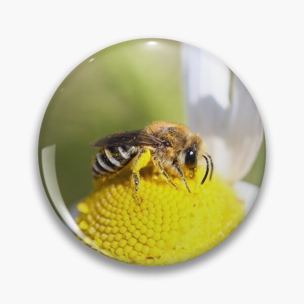Item preview, Bee with yellow pollen baskets designed and sold by GreyFeatherPhot.
