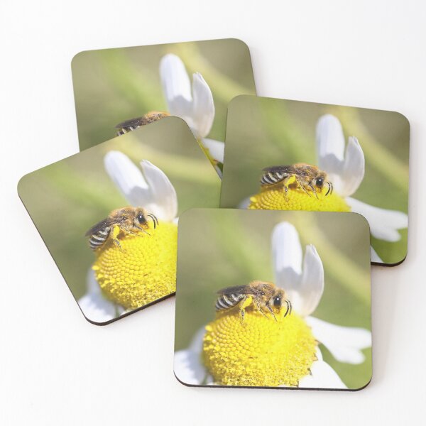 Item preview, Bee with yellow pollen baskets designed and sold by GreyFeatherPhot.