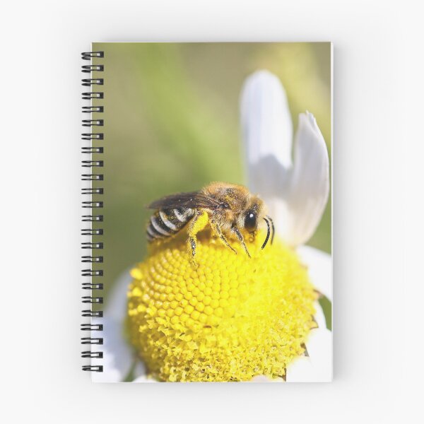 Item preview, Bee with yellow pollen baskets designed and sold by GreyFeatherPhot.