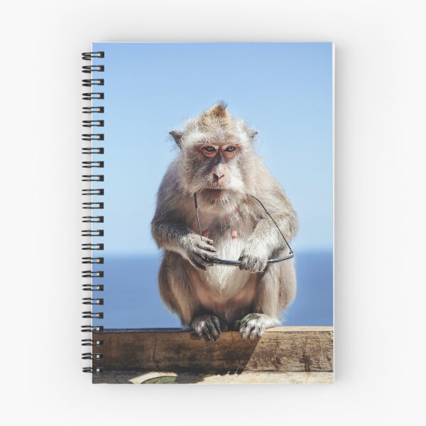 Item preview, monkey with sunglasses he had stolen from tourist designed and sold by Ronenvief.