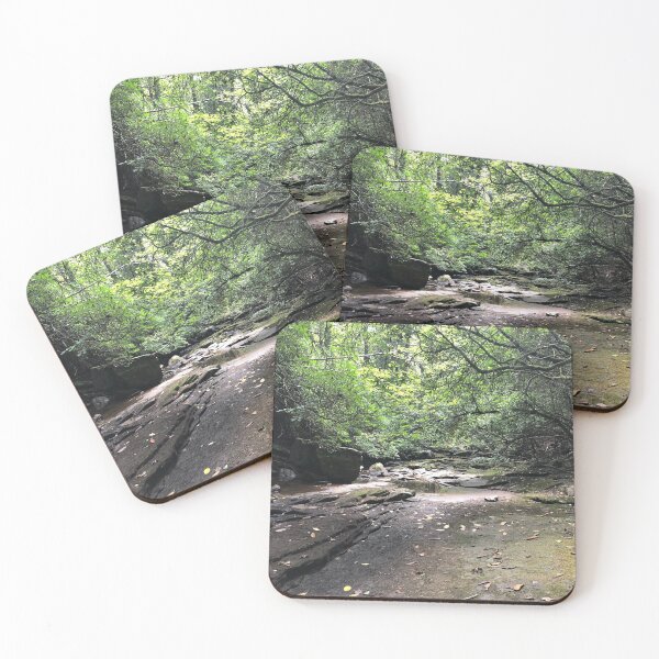 Item preview, Cloudland Canyon State Park designed and sold by FireplaceCove.
