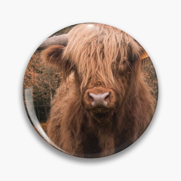 Item preview, a scottish highland cattle in the field designed and sold by Ronenvief.