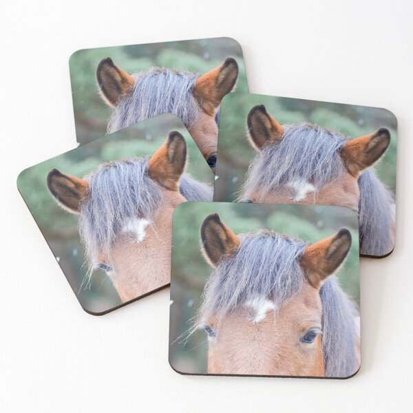 Item preview, New Forest Pony Close up designed and sold by Ksswaden.