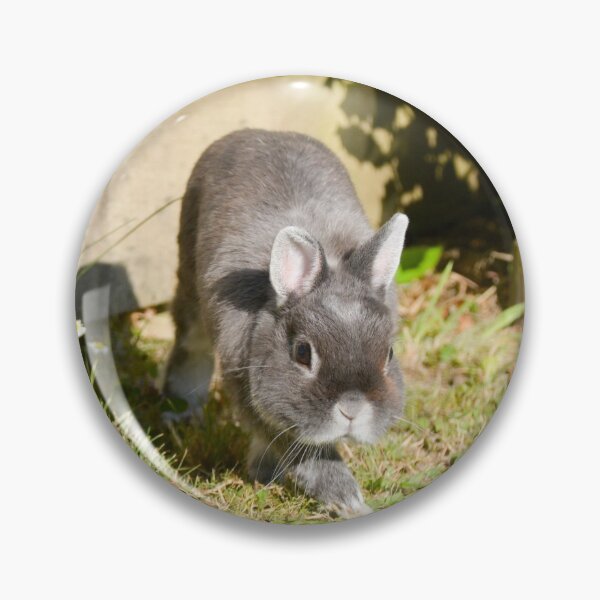 Item preview, Netherland Dwarf Rabbit designed and sold by Ksswaden.