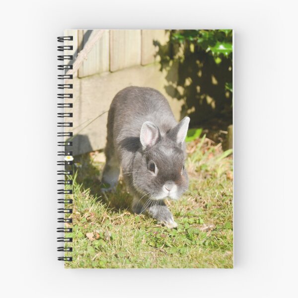 Item preview, Netherland Dwarf Rabbit designed and sold by Ksswaden.