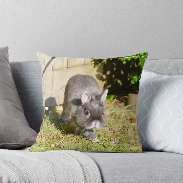 Item preview, Netherland Dwarf Rabbit designed and sold by Ksswaden.