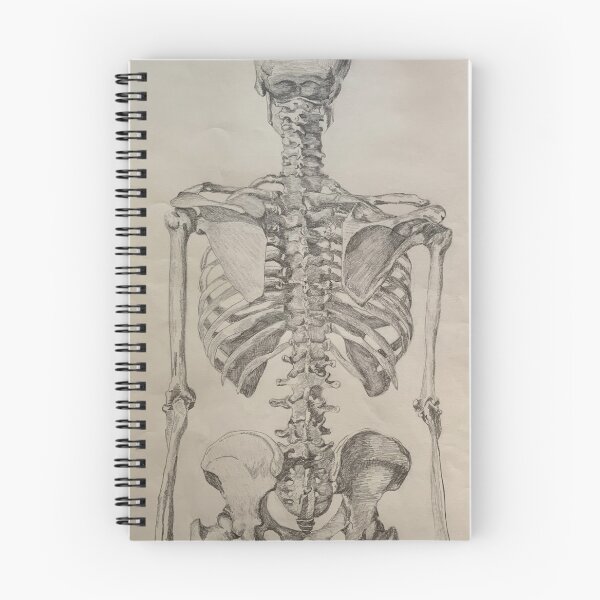 Item preview, Skeleton Torso Posterior View designed and sold by Michelle Rutkowski.
