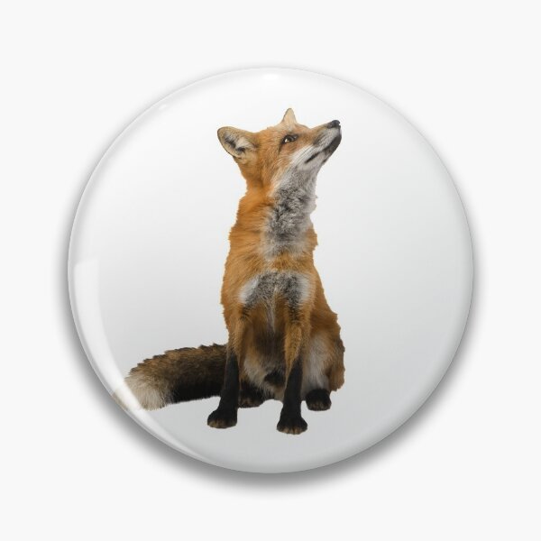 Artikelvorschau, Roter Fuchs entworfen und verkauft von DoodleDashCollective.