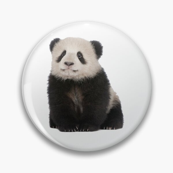 Item preview, Baby Panda designed and sold by DoodleDashCollective.