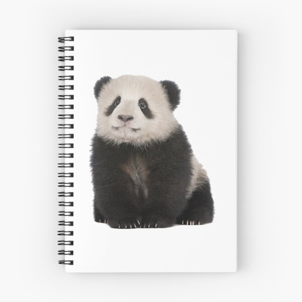 Item preview, Baby Panda designed and sold by DoodleDashCollective.