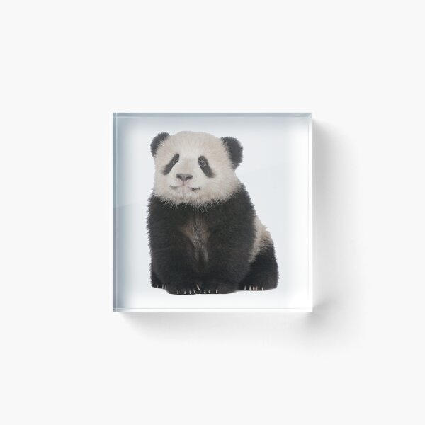 Item preview, Baby Panda designed and sold by DoodleDashCollective.