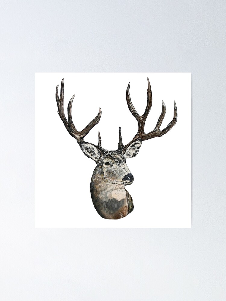 Mule Deer Buck Poster