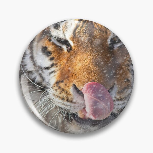 Item preview, Tiger Catching Flurries designed and sold by Karol Livote.