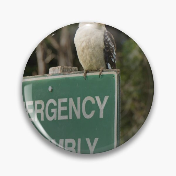Item preview, Kookaburra assembly point designed and sold by DVart-nz.