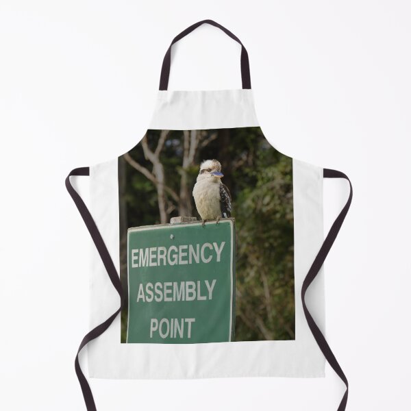 Artikelvorschau, Kookaburra Sammelpunkt entworfen und verkauft von DVart-nz.