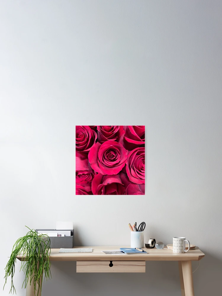 Thumbnail 2 of 3, Poster, Red Roses designed and sold by Jason Tompkins.