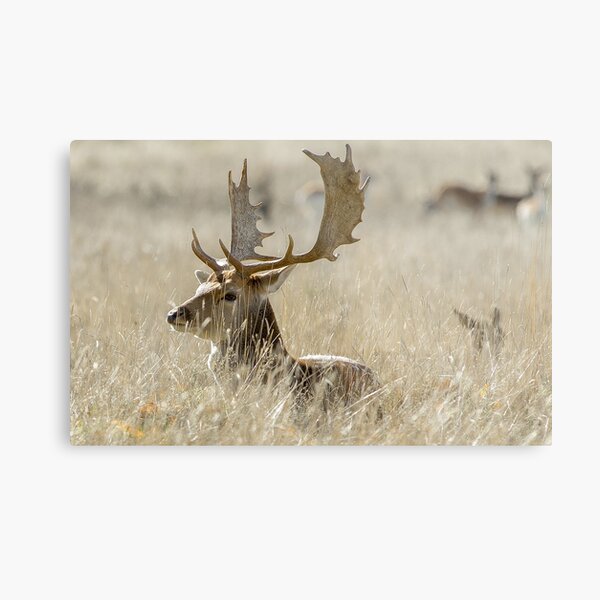 Item preview, Deer designed and sold by Karl Willson.