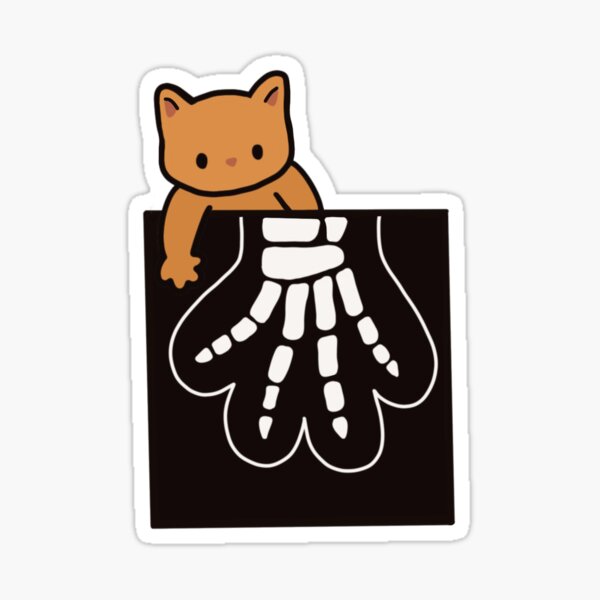Cat Toe Beans X-Ray Sticker Sticker