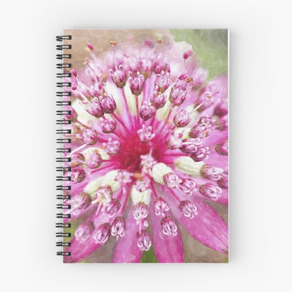 Item preview, Pink Astrantia designed and sold by PurpleFysh.
