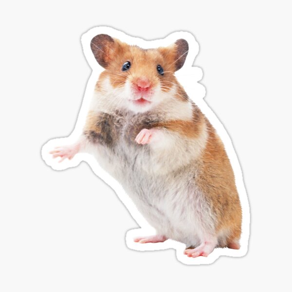 Item preview, Cute Hamster designed and sold by DoodleDashCollective.