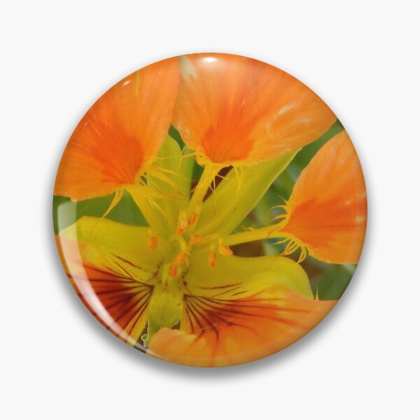 Item preview, Nasturtium designed and sold by Shulie1.