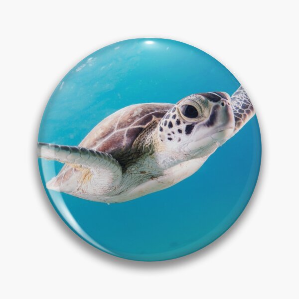 Item preview, Sea Surfing Ocean Turtle designed and sold by Alladin7.