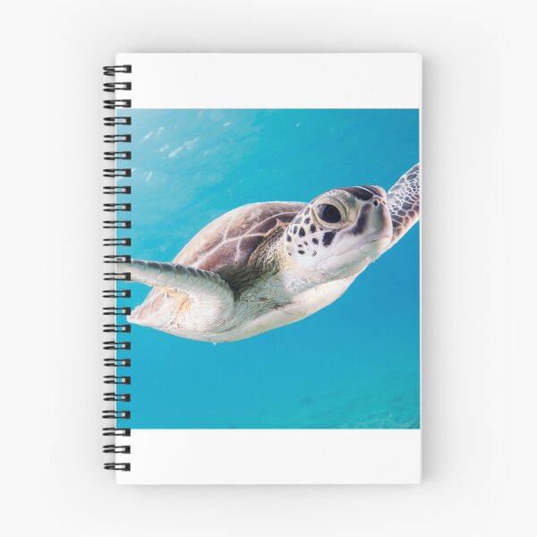Item preview, Sea Surfing Ocean Turtle designed and sold by Alladin7.