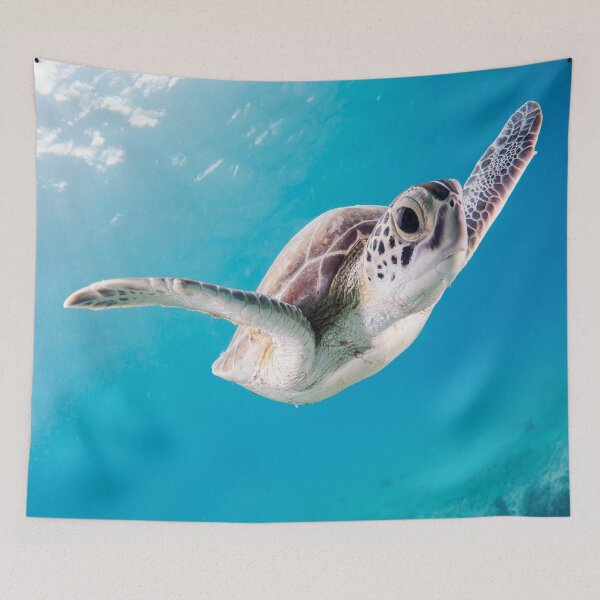 Item preview, Sea Surfing Ocean Turtle designed and sold by Alladin7.