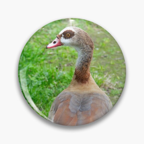 Item preview, Duck - Photography designed and sold by FilipeFerreira.