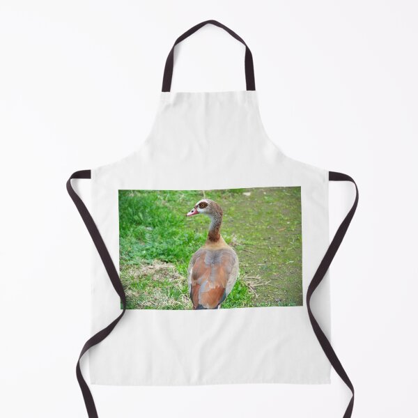 Item preview, Duck - Photography designed and sold by FilipeFerreira.