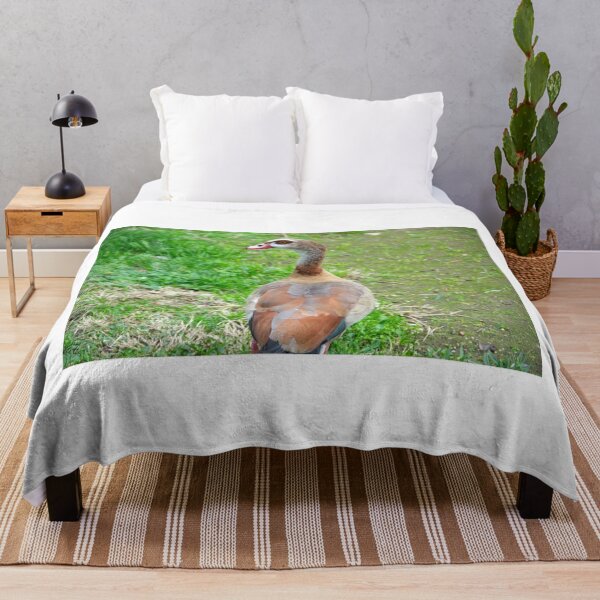 Item preview, Duck - Photography designed and sold by FilipeFerreira.
