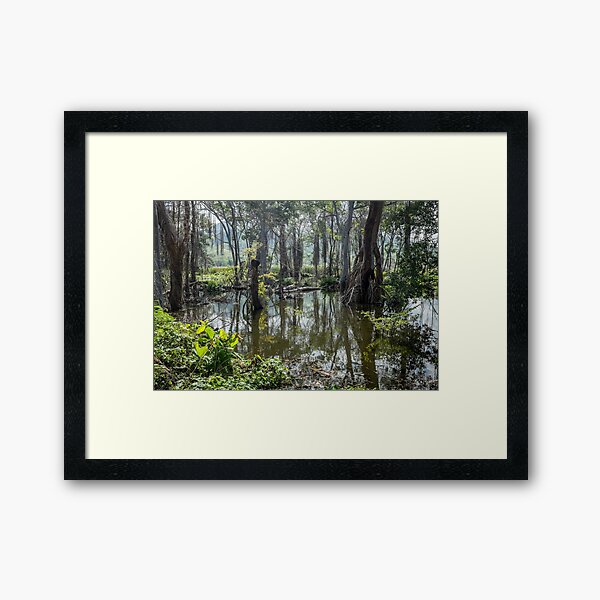 Item preview, Mangrove swamp designed and sold by brianhardy247.