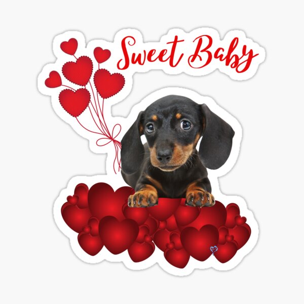 Sweet Baby Dachshund in Red with Red HEARTS Sticker