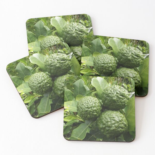 Item preview, Kaffir limes designed and sold by greentiger1.
