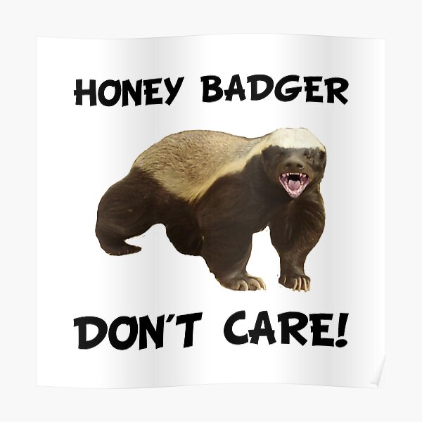 Honey Badger Meme Posters Redbubble