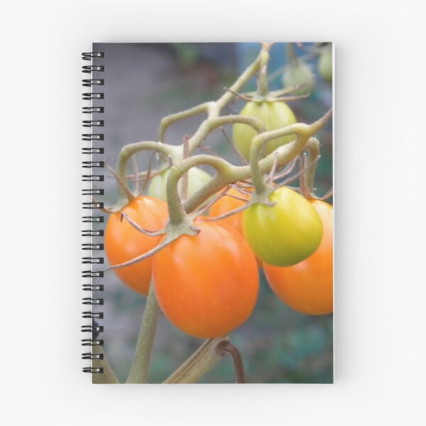 Item preview, Orange tomatoes designed and sold by greentiger1.