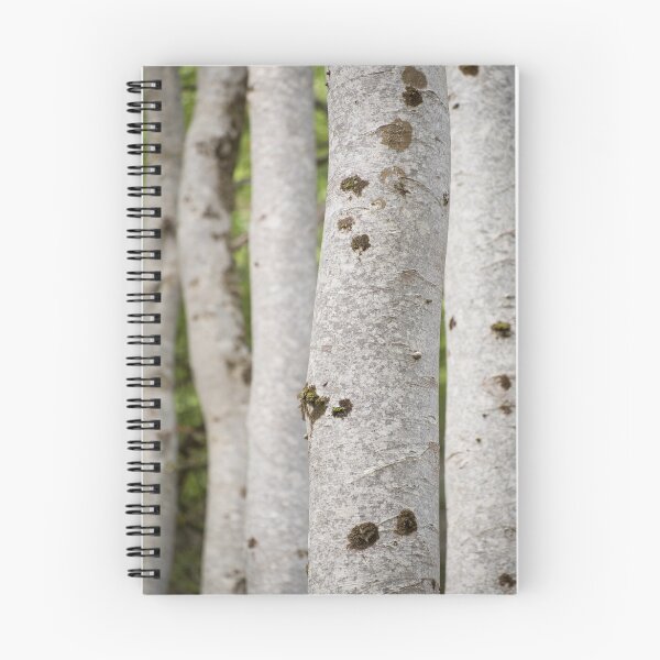 Item preview, Gruinard Beeches designed and sold by ccullen222.