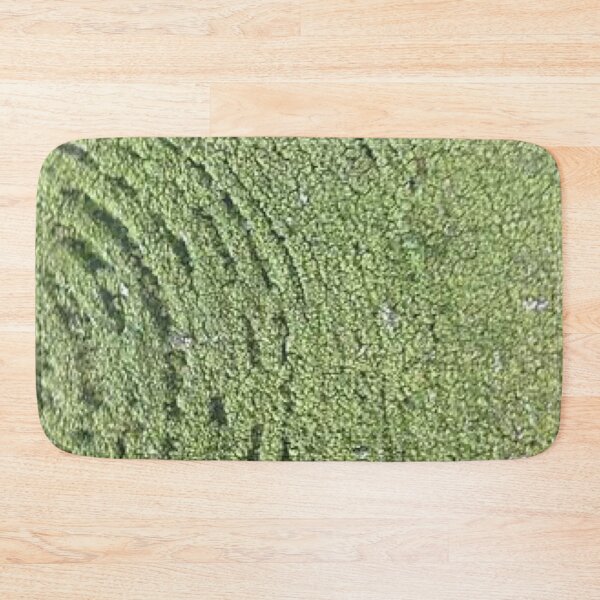 Item preview, Some Nature Things Look Like Other Nature Things designed and sold by Jason Tompkins.