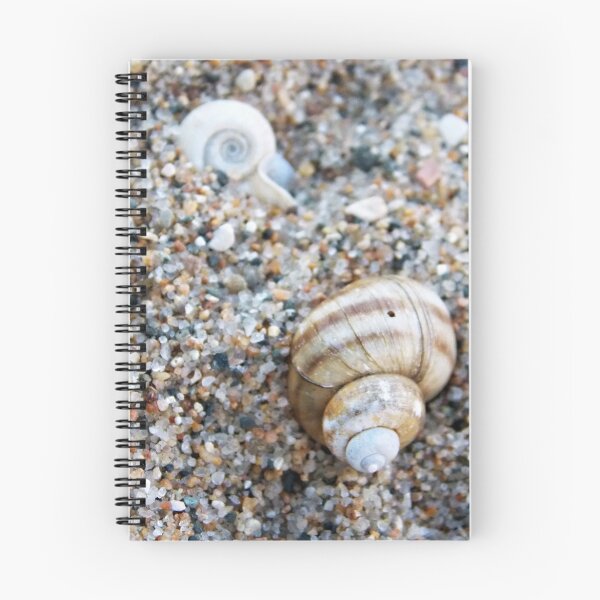 Item preview, Little Shell, Big Shell designed and sold by mezzilicious.