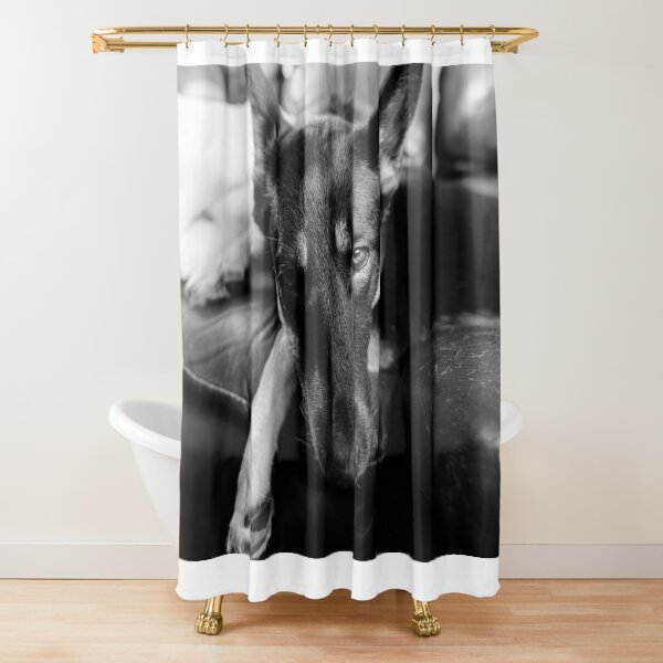 German Shepherd Shower Curtain
