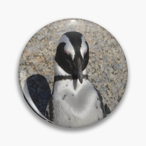 Item preview, African Penguin  designed and sold by LorLor88.