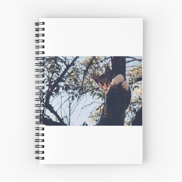 Item preview, Cat in a Tree, Santa Fe, New Mexico designed and sold by lenspiro.